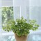 24-Pack: Maidenhair Fern Bush with 23 Fronds, 23" Wide, Floral Home by Artificial Flowers